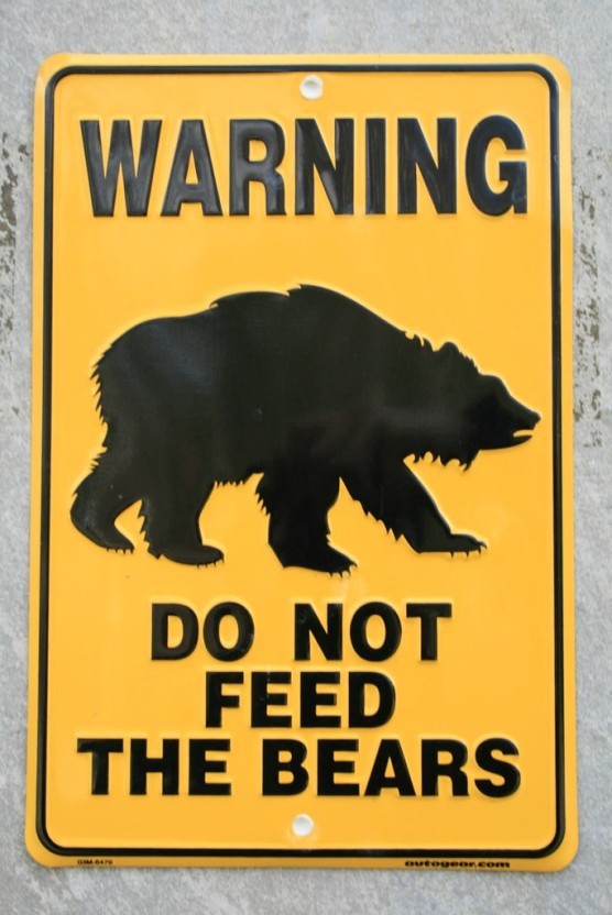 Do Not Feed the Bears.jpg